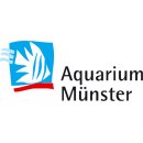 http://www.aquaristik-bayern.de/bilder/hersteller/normal/Aquarium-Muenster.jpg