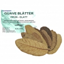 Garnelengarten® Guave Blätter grün - glatt...