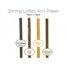 GlasGarten Shrimp Lollies 4 in1 Power Algae 8 St.