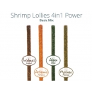 GlasGarten Shrimp Lollies 4 in1 Power Basic Mix 8 St.